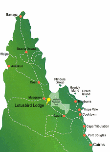 Map Of Cape York